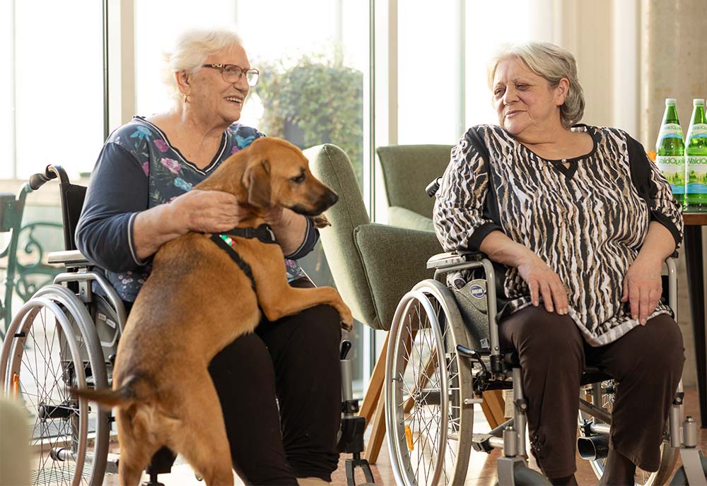 Hundetherapie im Pflegeheim